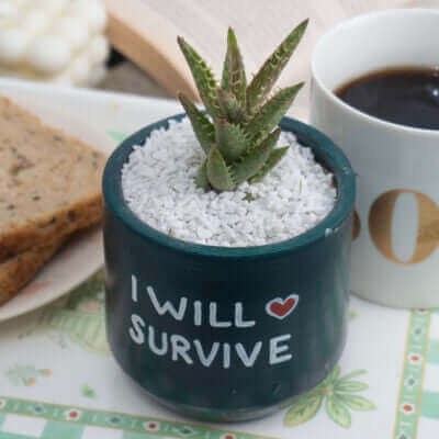 Planters