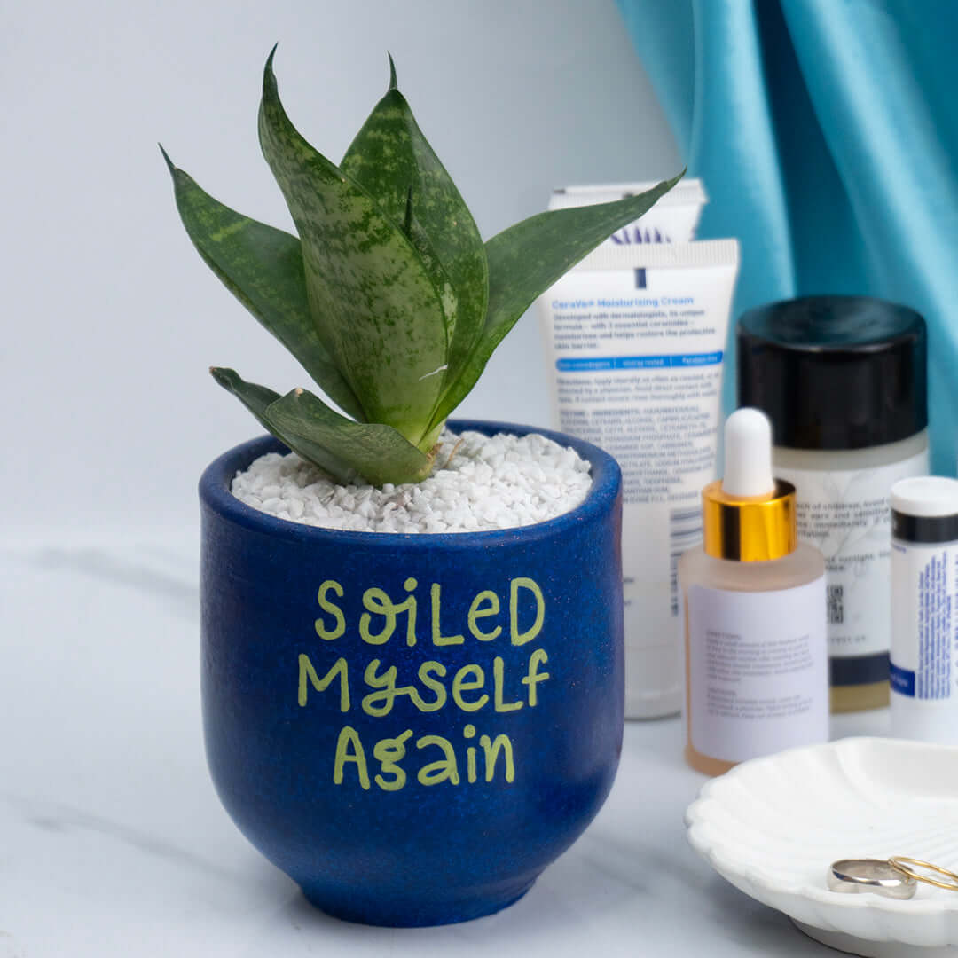 Planter