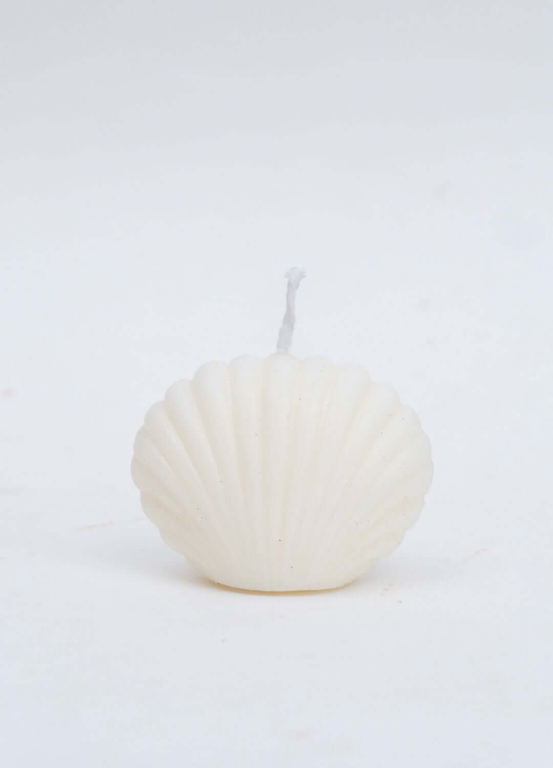 shell candle