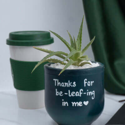 Planters