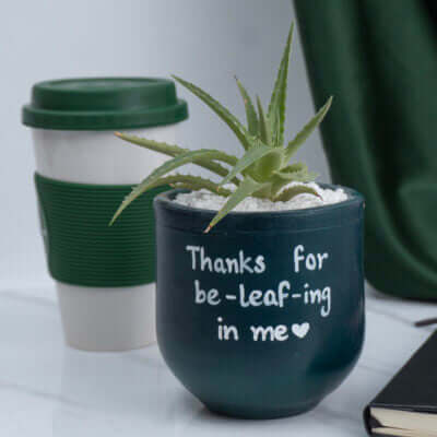 Planters