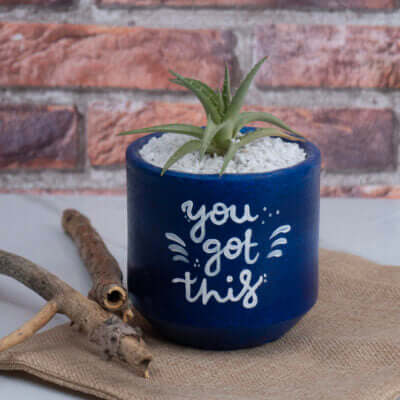 Planters