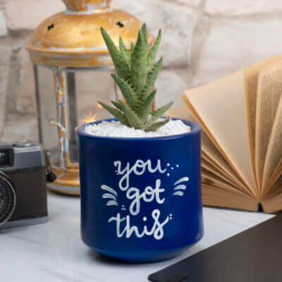 Planters