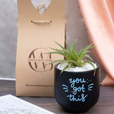 Planters
